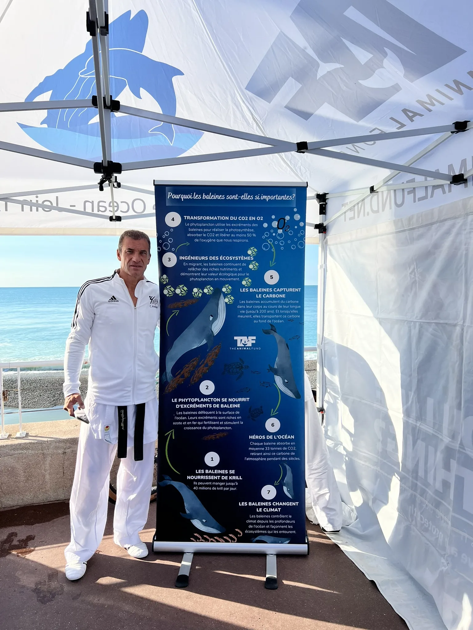 Whalethon